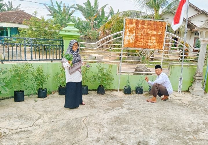 Panen Raya Sayuran dan Tanaman Obat di Halaman KUA Way Bungur 