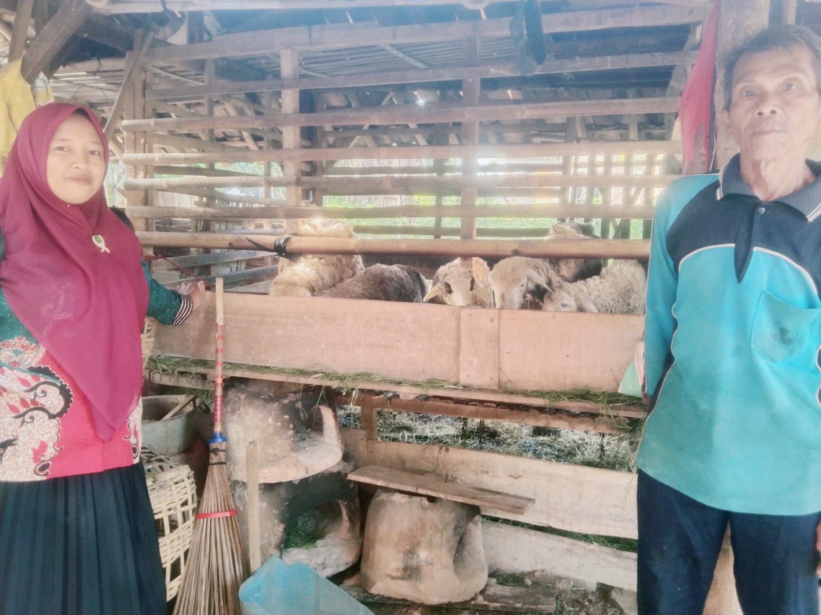 Dari Satu Ekor Menjadi Dua Puluh : Keberhasilan Usaha Produktif UPZ KUA Batanghari
