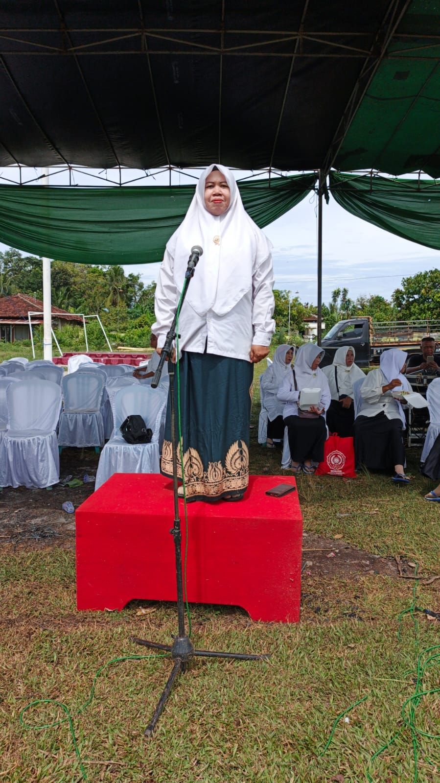 Penyuluh Agama Islam Siti Alkhomah Nahkodai Peringatan Hari Santri 2025 di Kecamatan Batanghari