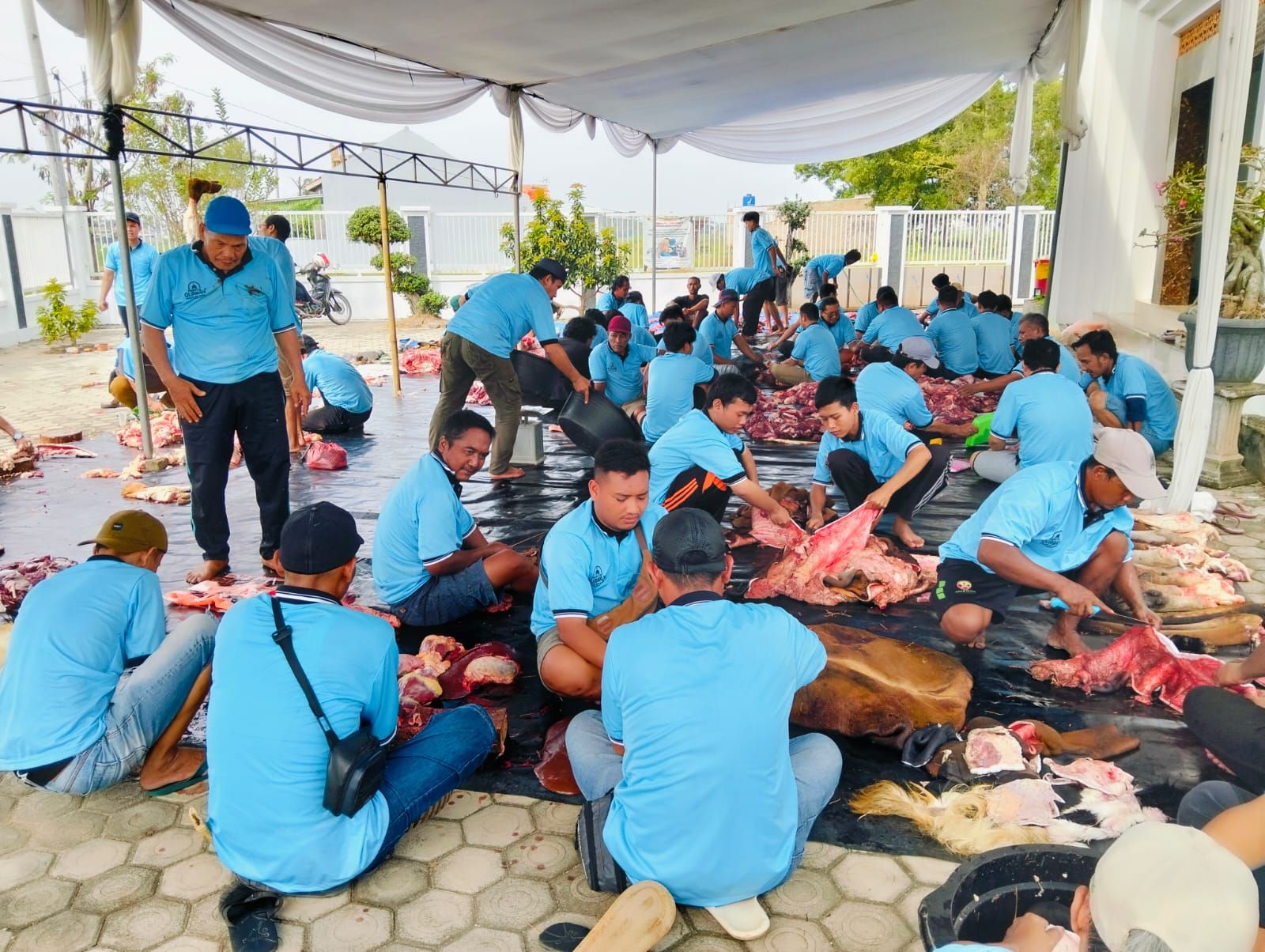 Semangat Qurban di Masjid An-Nisa Mulyojati: 6 Sapi dan 2 Kambing Didistribusikan ke Warga RW 03