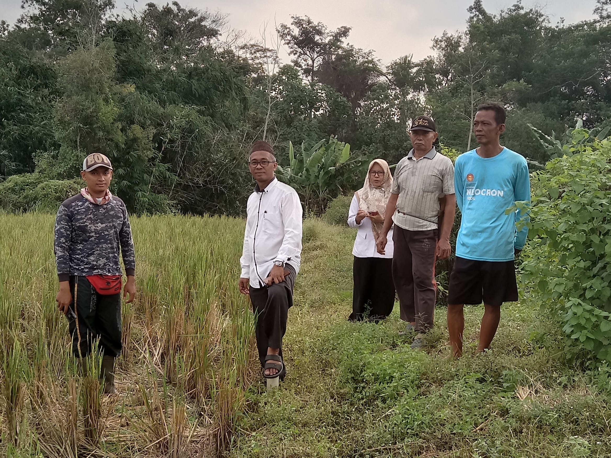 PPAIW KUA Kecamatan Batanghari Melakukan Peninjauan Tanah yang didaftarkan Wakaf