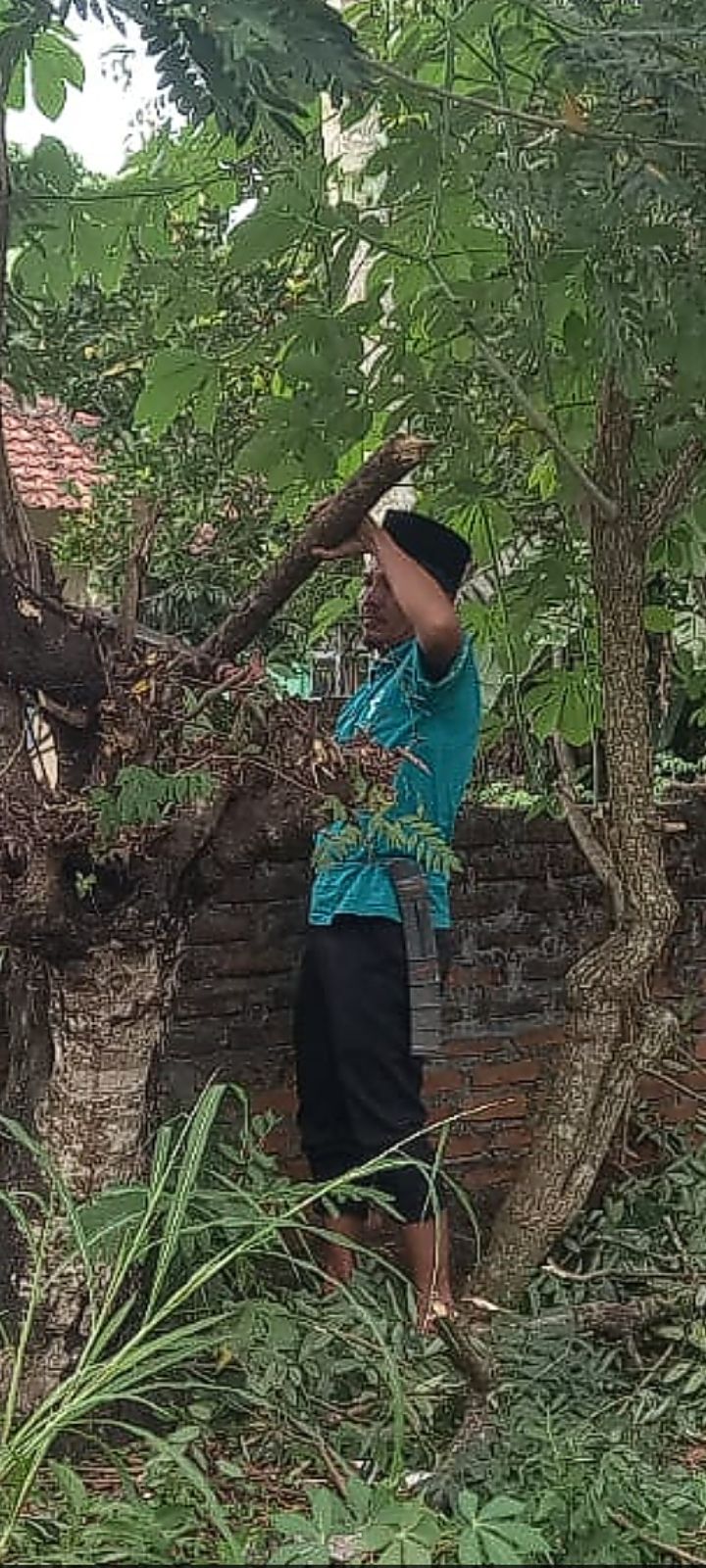 Tindak lanjut program ekoteologi kementrian agama